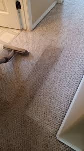 rug rats carpet cleaning reviews