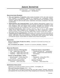 Download Information Technology Resume Examples     Resume Example  