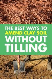 Amend Clay Soil Without Tilling