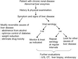 It may cause kidney damage, kidney failure, and high blood pressure. Renal Diseases And The Liver Clinics In Liver Disease