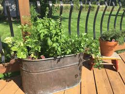 How To Start An Herb Garden Outdoor