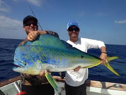 Image result for blue fishing