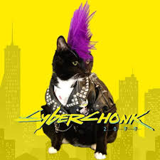 Search more hd transparent cat meme image on kindpng. Meme Museum Post 4820 Cat Chonk Chonker Cyberpunk 2077 Mohawk Punk Text