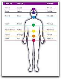 Energy Anatomy 101 An Introduction To Your Chakras