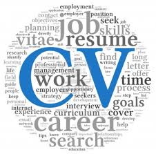 All the cv templates are created by qualified careers advisors and can be downloaded in word format; Professional Cv Format In Ms Word Doc Pdf Free Download