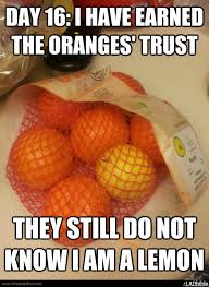 Day 16: I have earned the oranges&#39; trust They still do not know I ... via Relatably.com