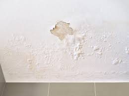 Bubbling Paint: 5 Potential Causes and How to Fix - Bob Vila