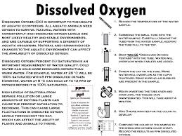 Dissolved Oxygen Dissolved Oxygen Do Is Important To The