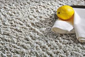 ace high carpet cleaning ocean city