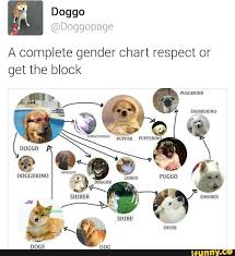 Doggopage A A Complete Gender Chart Respect Or Get The