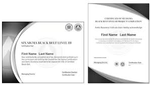 Six Sigma Black Belt Training And Certification Six Sigma Council