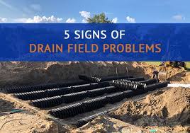 Larger drain fields may require greater amounts. 5 Signs Of Drain Field Problems Advanced Septic Services