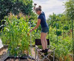 Electric Fence In Your Home Garden