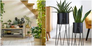 best indoor plant pot stands plant