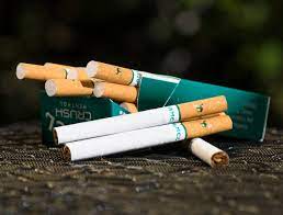 Why a Menthol Cigarette Ban Cannot Be ...