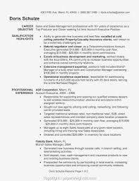 Resume templates that are in vogue, help eligible candidates to exhibit their skill sets and educational qualifications to get a suitable job. Account Executive Sample Resume Account Manager Sample Resume Account Executive Resume Examples Key A Resume Examples Best Resume Template Account Executive