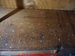 Read up on ways to remove moisture from dehumidifiers if your basement has moisture, mildew, mold or a must smell, there are three sources that could be the cause. Basement Mold How To Find Test For Mold In Basements A How To Photo And Text Primer On Finding And Testing For Mold In Buildings