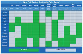 Outer Banks Fishing Chart Image Of Fishing