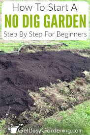 No Dig Gardening 101 How To Start A No