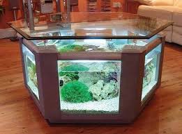 Having a cuppa has never been more interesting! 30 Irresible Aquarium Feature On Coffee Table Design Ideas Aquariums Coffee Tabledesign Fish Tank Coffee Table Aquarium Coffee Table Elegant Coffee Table