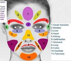 Reasons For Acne Face Mapping Reflexology Acupressure