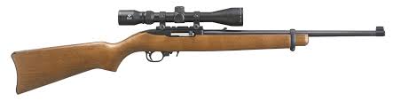 ruger 10 22 standard carbine and