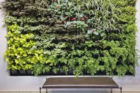 how to create a living wall vertical