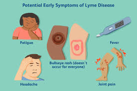 untreated lyme disease signs symptoms