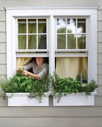 Window Herb Garden