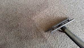 carpet cleaning experts in bloomington