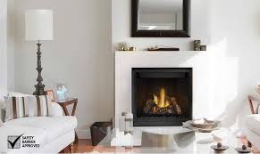 Direct Vent Gas Fireplace Napoleon