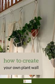 Hang Plants Without Drilling And Walls