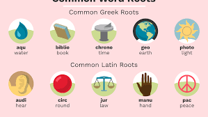 50 Greek And Latin Root Words
