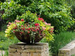 Container Gardening Tips Ideas