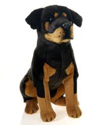 plush and stuffed rottweilers