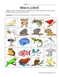 Bird Classification Worksheet Have Fun Teaching
