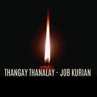 Job kurian was born in thiruvananthapuram, kerala. Enthavo 2017 Job Kurian Mp3 Downloads 7digital United States