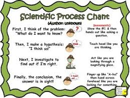 Scientific Process Anchor Chart