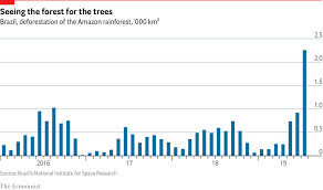 Daily Chart Deforestation In The Amazon May Soon Begin To