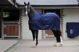 5 must have cotton sheet rugs horse