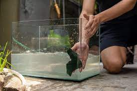 Remove Scratches From Glass Aquariums