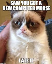 This page has one of the most amazing cat communities and i'm really thankful to have it. it seems like i don't even need moderators on the discord because everyone is so nice. 25 Best Technology Memes The Funniest Tech Memes On The Web
