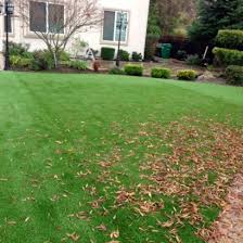 Synthetic Turf Installation In