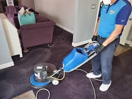 carpet cleaning glencoe il unique