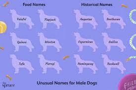 200 unique male dog names