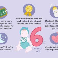 your 6 month old baby milestones