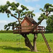 cool flooring ideas for a tree house