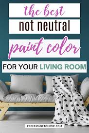 Cozy Living Room Paint Color Ideas