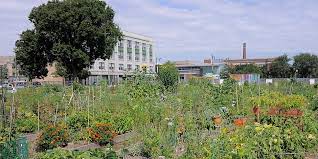 Rogers Park Community Garden Walk