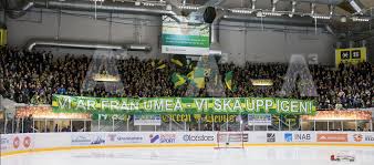 If björklöven live score (and video online live stream*), schedule and results from all. Bjorkloven Linkedin